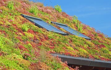 Stearsby living roof systems