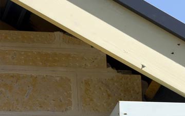 soffit repair Stearsby
