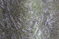 Stearsby fibreglass roof work